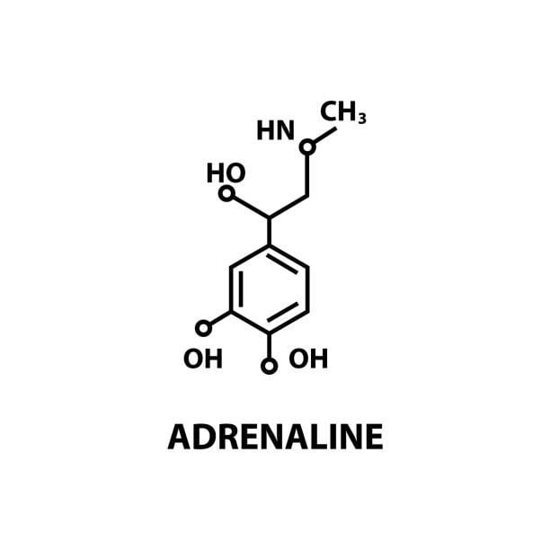 Adrenaline Rushes
