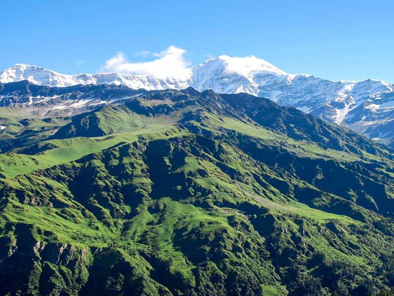 Dodital Trek